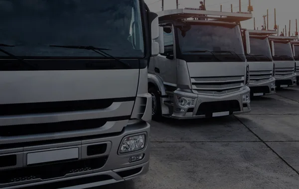Unidades de transporte terrestre para carga